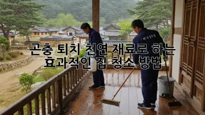 곤충 퇴치! 천연 재료로 하는 효과적인 집 청소 방법