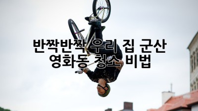 ✨ 반짝반짝 우리 집! 군산 영화동 청소 비법 🏡